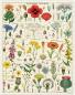 Preview: "Wildblumen" Cavallini Vintage Puzzle, 1000 Teile
